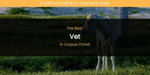 The Absolute Best Vet in Corpus Christi